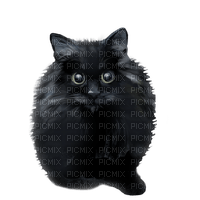 Black cat 💖 черный кот - png gratis