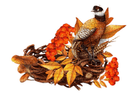 Осенний декор - безплатен png