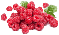 raspberries bp - darmowe png