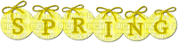 Spring.Text.Yellow - ingyenes png