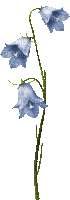 Flores campanitas - 無料のアニメーション GIF