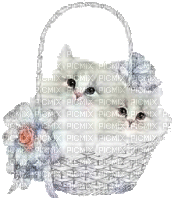 Chats blancs - panier osier blanc - 免费动画 GIF