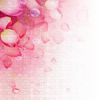 Y.A.M._Flowers transparent background - бесплатно png