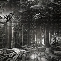 Black & White Forest - nemokama png