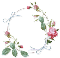Rose Frame - nemokama png