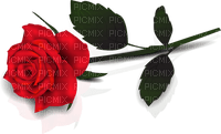 Valentine's Day Rose, Adam64 - Free PNG