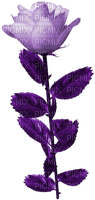 En violet - Free PNG