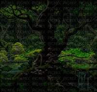 forest animated - 免费动画 GIF