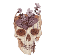 skull with flowers - ücretsiz png