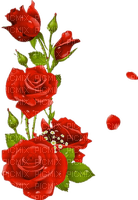 Rosen, Rot, Blumen, Roses, Flowers - 無料png