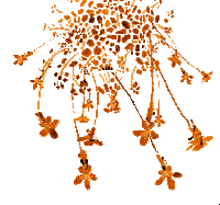 fleur s34 orange - Бесплатный анимированный гифка