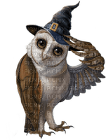 Kaz_Creations Birds Bird Owls Owl - besplatni png