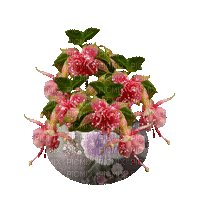 kwiaty - Gratis geanimeerde GIF