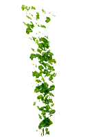 plants anastasia - GIF animate gratis