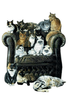 animalss cats nancysaey - png gratuito