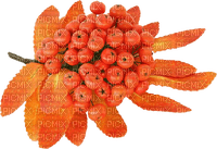 Oranger Herbst - zdarma png
