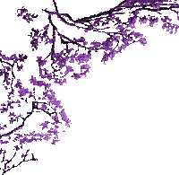 Plants.Branche.branch.Rama.Purple.violette.coin.Victoriabea - 無料のアニメーション GIF