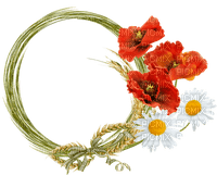 loly33 coquelicot - kostenlos png