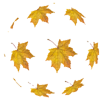 leaf - GIF animado gratis
