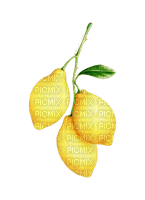Citron - gratis png