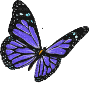 dolceluna animated butterfly spring purple - Бесплатный анимированный гифка