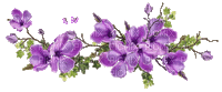 Purple Flowers - Бесплатный анимированный гифка