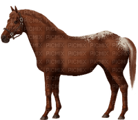 Cheval - 無料png