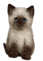 Kaz_Creations Cats Cat Kittens Kitten - nemokama png