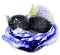 Kitten.Fairy.Rose.Fantasy.Blue - KittyKatLuv65 - Free PNG