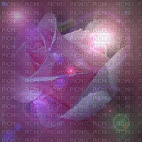 rose zen - 無料のアニメーション GIF