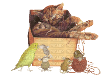 cats bp - Безплатен анимиран GIF