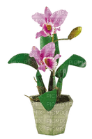 Kaz_Creations Flowers Plant Deco Vase - darmowe png