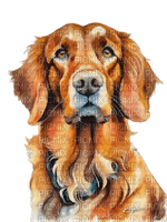 loly33 chien - kostenlos png