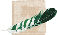 feather - gratis png