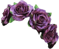 couronne fleurs - PNG gratuit