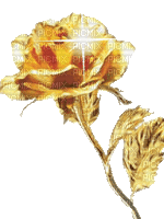 rose en or - Δωρεάν κινούμενο GIF
