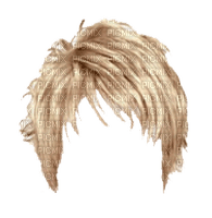 parrucca - besplatni png