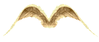ani----vingar-----wings - Δωρεάν κινούμενο GIF