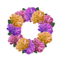 flower wheel - Free PNG