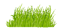 Gras - Nemokamas animacinis gif