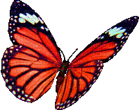 Бабочка - Бесплатный анимированный гифка