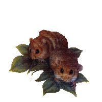 Autumn Fall Chipmunks - Δωρεάν κινούμενο GIF