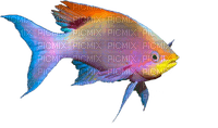 Морская  рыба - PNG gratuit