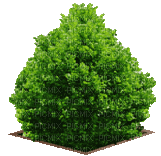 Baum - Ücretsiz animasyonlu GIF