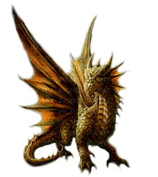 dragon  by nataliplus