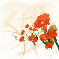 loly33 poppy coquelicot - безплатен png