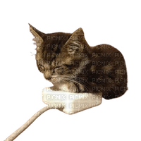 chats - 免费PNG