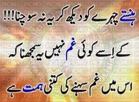 Urdu Quote - png gratis