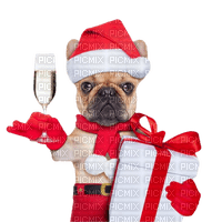 dog hund chien animal animals fun red santa   christmas noel xmas weihnachten Navidad рождество natal tube gift present - png ฟรี