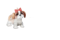 loly33 chien - zdarma png